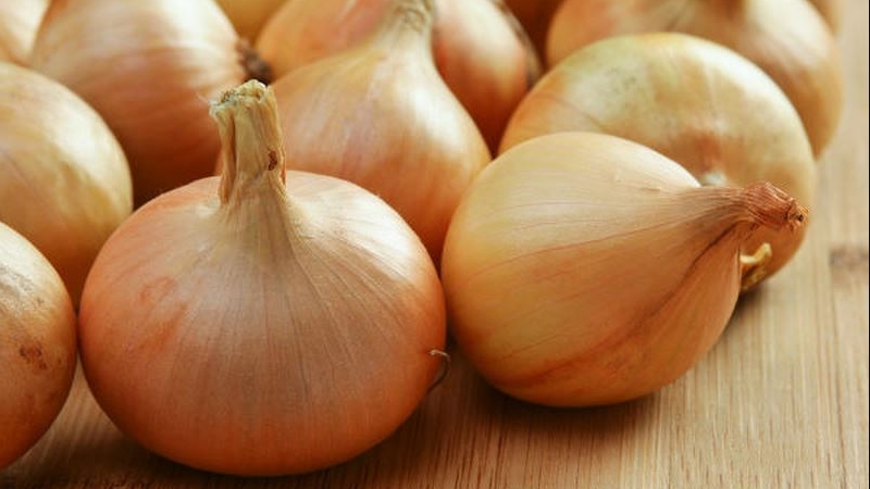 Mùi của hành tây là kẻ thù của gián